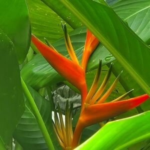 Meet your Posher, Martha